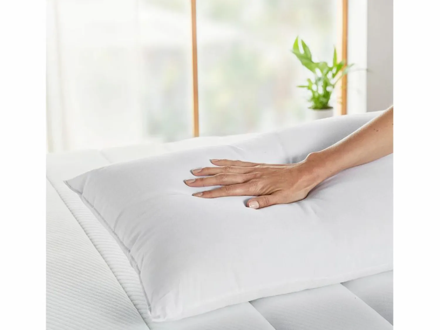 Almohada 50x75cm | HOME | Fibra | Antialérgica | 100% Algodón < PIKOLIN Discount