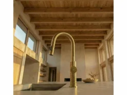 Essebagno Grifo De Cocina * Architek mezclador de fregadero con rociador extraíble oro cepillado Dorado