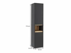 Armario alto /artisan 38x33x170 viola < Vicco