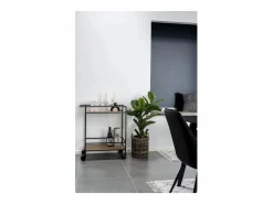 Carrito Vita, Marrón, 68x40x79 cm, Kendra Home <