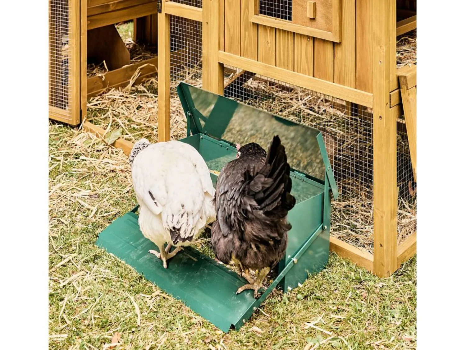 Comedero automático para gallinas 5kg < Sweeek Clearance