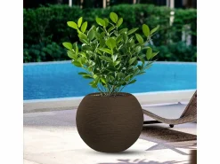 Jarrón | Jarrón de resina con diseño de esfera redonda Botticelli Marrone para plantas de interior y exterior, diámetro 40 x 33 h