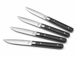 Amefa Cubierto * Set de 4 cuchillos para carne Fusion Noir - Hoja lisa y mango de ABS - 22 cm Negro
